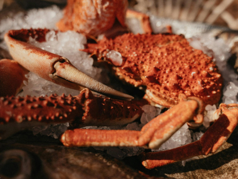 Seafood supply